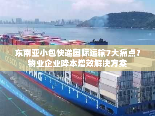 东南亚小包快递国际运输7大痛点？物业企业降本增效解决方案