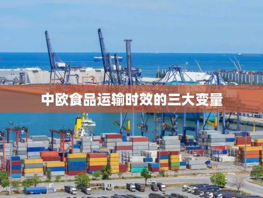 中欧食品运输时效的三大变量