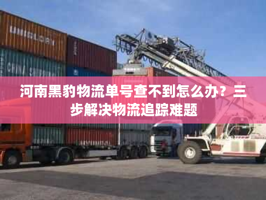 河南黑豹物流单号查不到怎么办？三步解决物流追踪难题