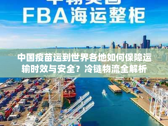 中国疫苗运到世界各地如何保障运输时效与安全？冷链物流全解析