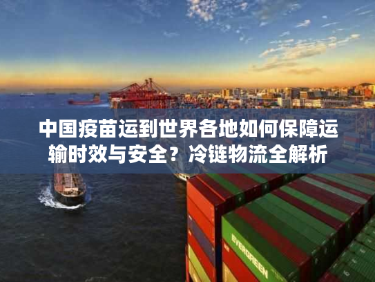 中国疫苗运到世界各地如何保障运输时效与安全？冷链物流全解析