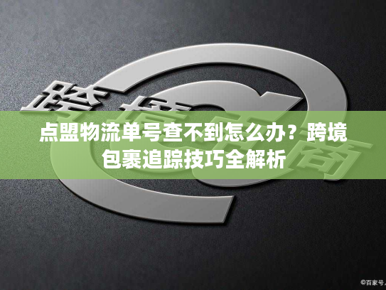 点盟物流单号查不到怎么办？跨境包裹追踪技巧全解析