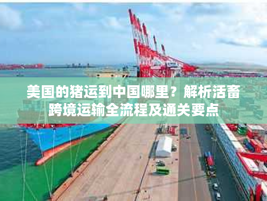 美国的猪运到中国哪里？解析活畜跨境运输全流程及通关要点