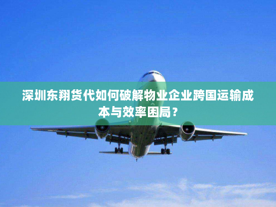 深圳东翔货代如何破解物业企业跨国运输成本与效率困局？