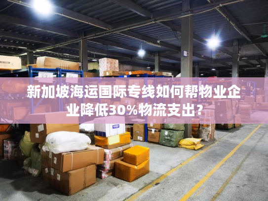 新加坡海运国际专线如何帮物业企业降低30%物流支出？