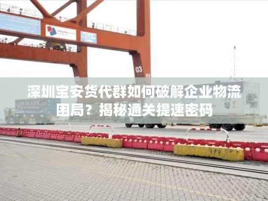 深圳宝安货代群如何破解企业物流困局？揭秘通关提速密码