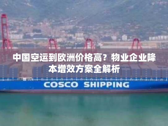 中国空运到欧洲价格高？物业企业降本增效方案全解析