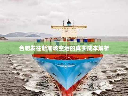 合肥发往新加坡空运的真实成本解析