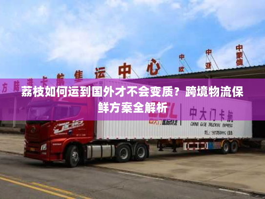 荔枝如何运到国外才不会变质？跨境物流保鲜方案全解析