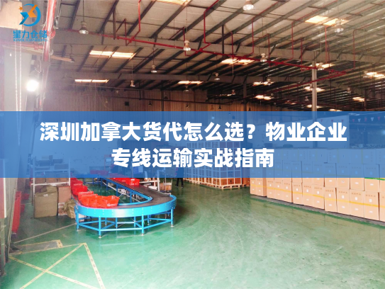 深圳加拿大货代怎么选?物业企业专线运输实战指南 深圳加拿大货代怎么选?物业企业专线运输实战指南