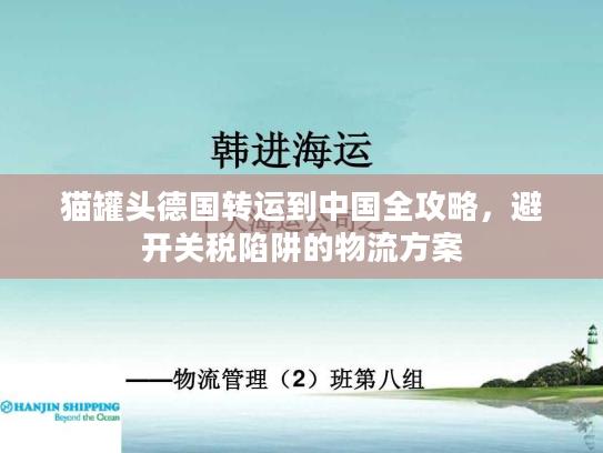猫罐头德国转运到中国全攻略,避开关税陷阱的物流方案 猫罐头德国转运到中国全攻略,避开关税陷阱的物流方案