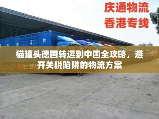 猫罐头德国转运到中国全攻略,避开关税陷阱的物流方案 猫罐头德国转运到中国全攻略,避开关税陷阱的物流方案