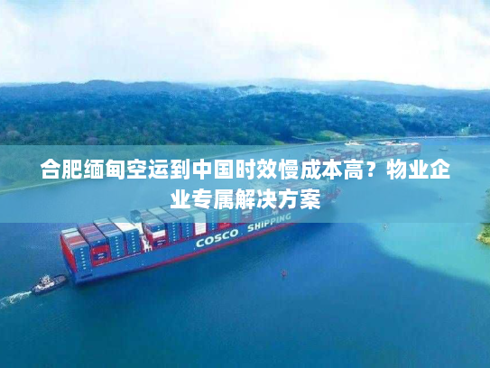 合肥缅甸空运到中国时效慢成本高？物业企业专属解决方案