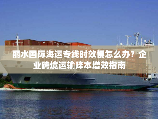 丽水国际海运专线时效慢怎么办?企业跨境运输降本增效指南 丽水国际海运专线时效慢怎么办?企业跨境运输降本增效指南