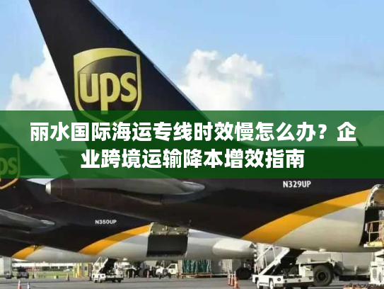丽水国际海运专线时效慢怎么办?企业跨境运输降本增效指南 丽水国际海运专线时效慢怎么办?企业跨境运输降本增效指南