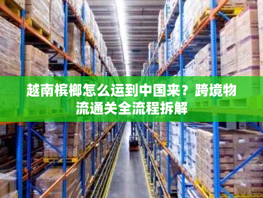 越南槟榔怎么运到中国来？跨境物流通关全流程拆解
