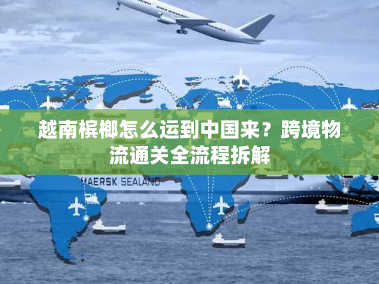 越南槟榔怎么运到中国来？跨境物流通关全流程拆解