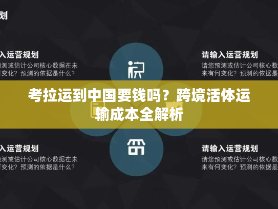 考拉运到中国要钱吗？跨境活体运输成本全解析