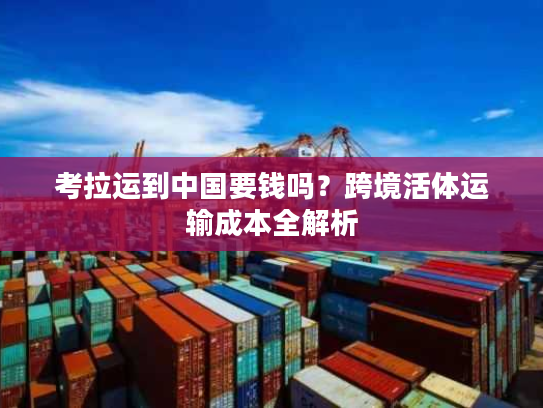 考拉运到中国要钱吗？跨境活体运输成本全解析