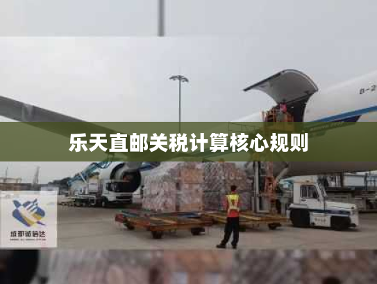 乐天直邮关税计算核心规则 乐天直邮关税计算核心规则