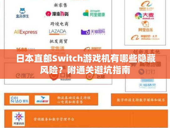 日本直邮Switch游戏机有哪些隐藏风险？附通关避坑指南