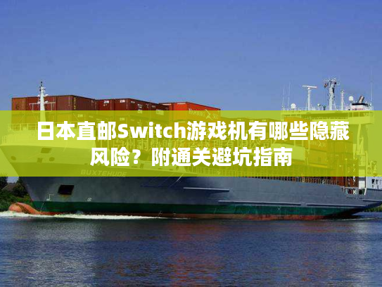 日本直邮Switch游戏机有哪些隐藏风险？附通关避坑指南