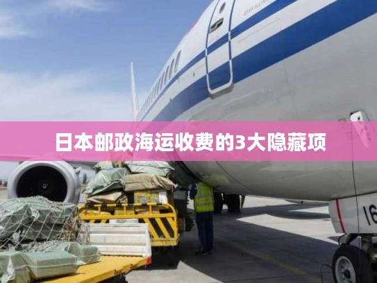 日本邮政海运收费的3大隐藏项