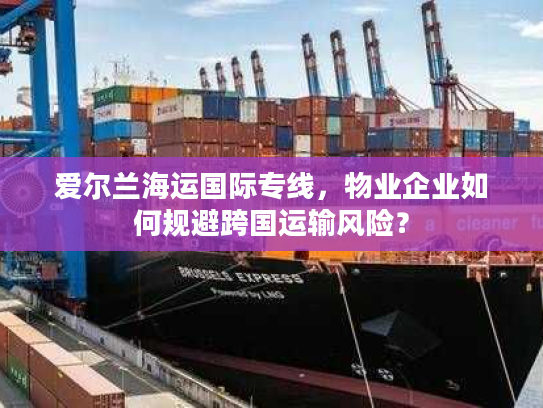 爱尔兰海运国际专线，物业企业如何规避跨国运输风险？