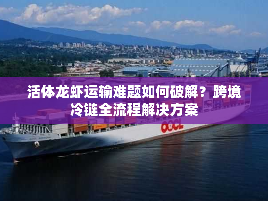 活体龙虾运输难题如何破解？跨境冷链全流程解决方案