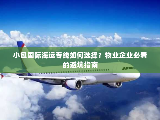 小包国际海运专线如何选择？物业企业必看的避坑指南