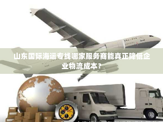 山东国际海运专线哪家服务商能真正降低企业物流成本？
