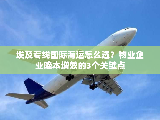 埃及专线国际海运怎么选？物业企业降本增效的3个关键点