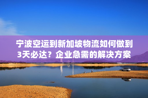 宁波空运到新加坡物流如何做到3天必达？企业急需的解决方案