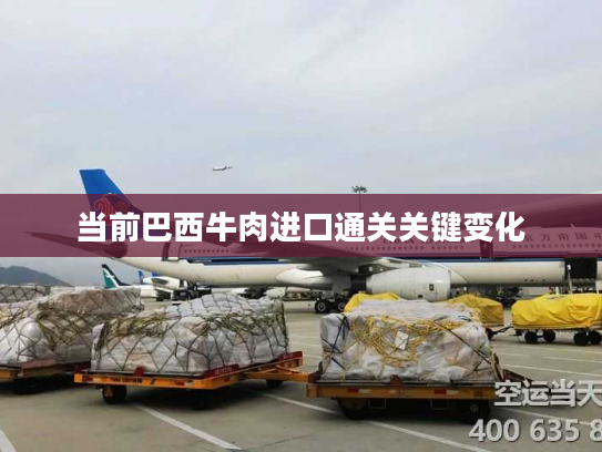当前巴西牛肉进口通关关键变化 当前巴西牛肉进口通关关键变化