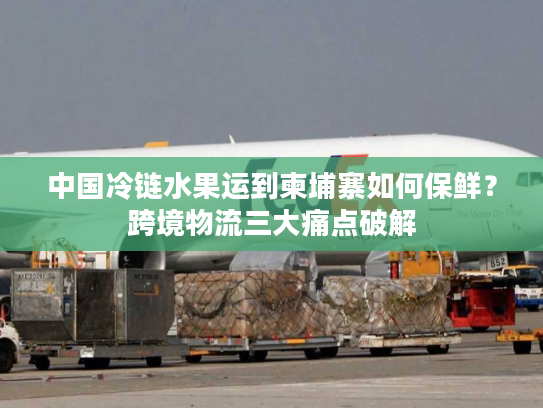 中国冷链水果运到柬埔寨如何保鲜？跨境物流三大痛点破解