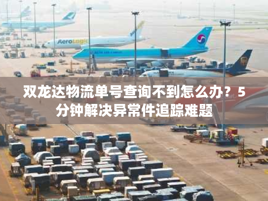 双龙达物流单号查询不到怎么办？5分钟解决异常件追踪难题