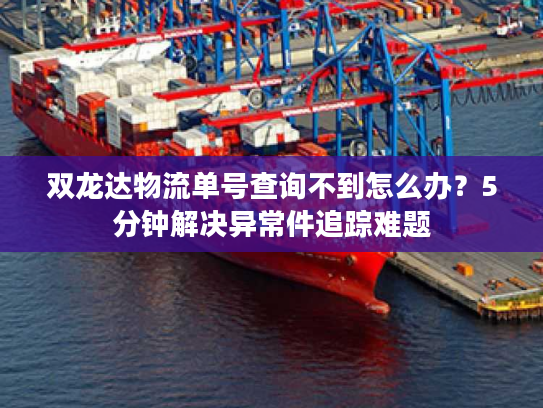 双龙达物流单号查询不到怎么办？5分钟解决异常件追踪难题