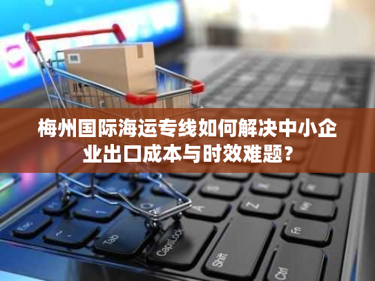 梅州国际海运专线如何解决中小企业出口成本与时效难题？