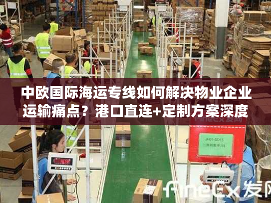 中欧国际海运专线如何解决物业企业运输痛点？港口直连+定制方案深度解析