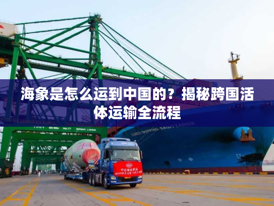 海象是怎么运到中国的？揭秘跨国活体运输全流程