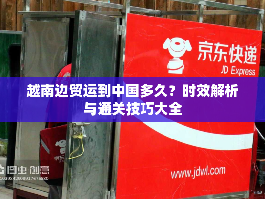 越南边贸运到中国多久？时效解析与通关技巧大全