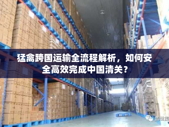 猛禽跨国运输全流程解析，如何安全高效完成中国清关？