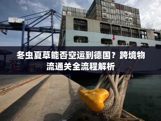 冬虫夏草能否空运到德国?跨境物流通关全流程解析 冬虫夏草能否空运到德国?跨境物流通关全流程解析