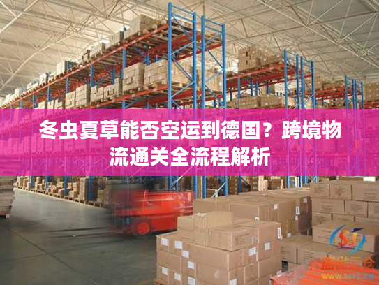 冬虫夏草能否空运到德国?跨境物流通关全流程解析 冬虫夏草能否空运到德国?跨境物流通关全流程解析
