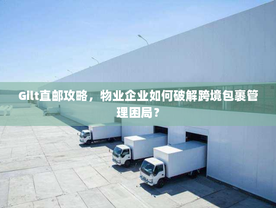 Gilt直邮攻略，物业企业如何破解跨境包裹管理困局？