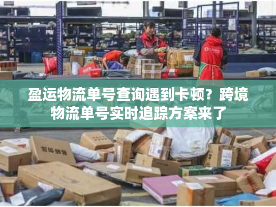 盈运物流单号查询遇到卡顿？跨境物流单号实时追踪方案来了