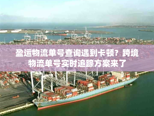 盈运物流单号查询遇到卡顿？跨境物流单号实时追踪方案来了