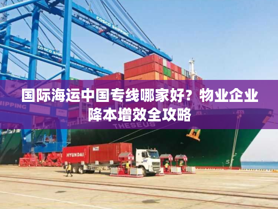 国际海运中国专线哪家好?物业企业降本增效全攻略 国际海运中国专线哪家好?物业企业降本增效全攻略