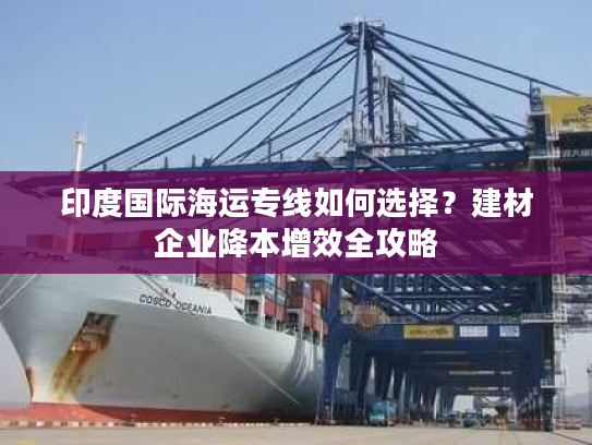 印度国际海运专线如何选择？建材企业降本增效全攻略