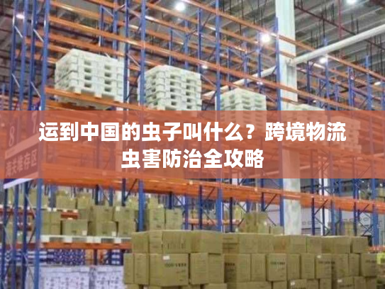 运到中国的虫子叫什么？跨境物流虫害防治全攻略